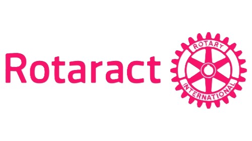 Partner 5